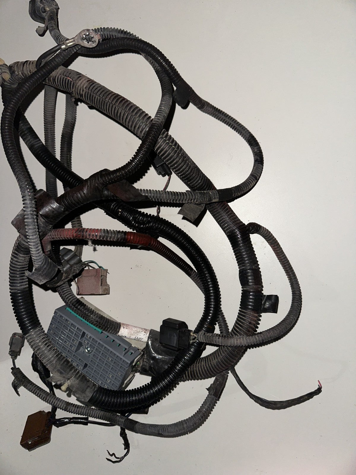 05-06 Ford Mustang Front Coupe Headlight Halogen Wiring Harness OEM