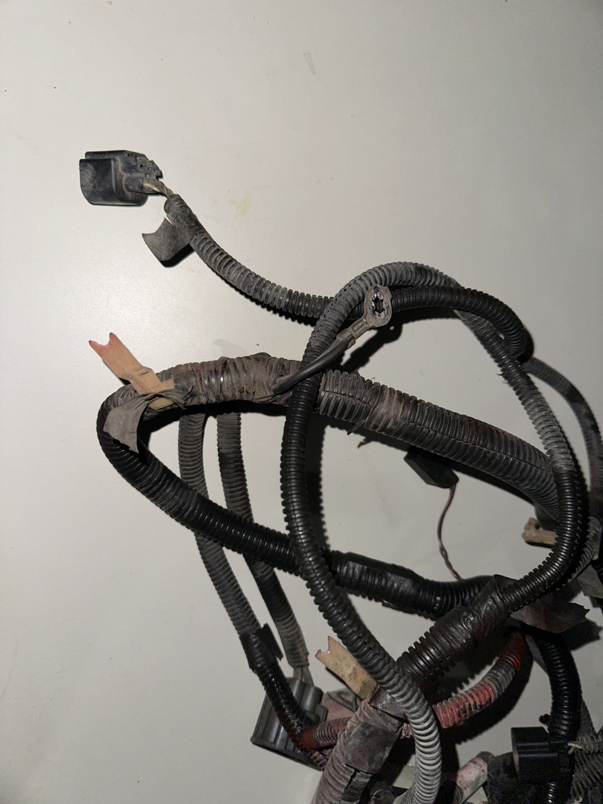 05-06 Ford Mustang Front Coupe Headlight Halogen Wiring Harness OEM