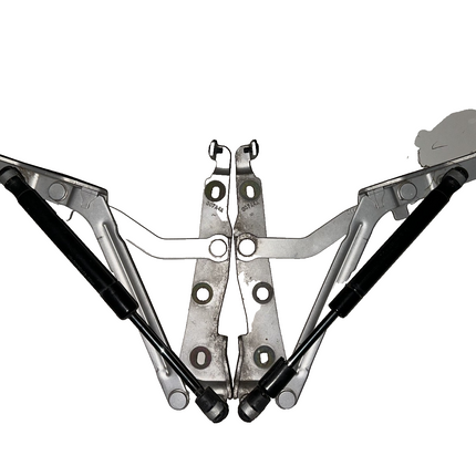 05-09 Ford Mustang Trunk Hatch Lid Hinges Struts Shocks Assembly OEM Pair LH RH