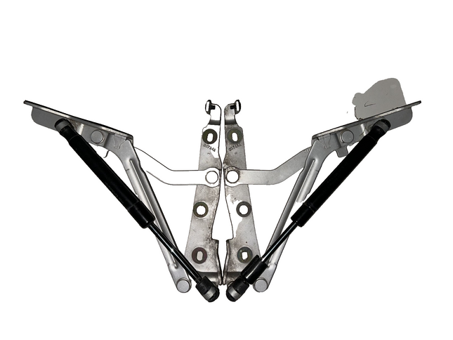 05-09 Ford Mustang Trunk Hatch Lid Hinges Struts Shocks Assembly OEM Pair LH RH