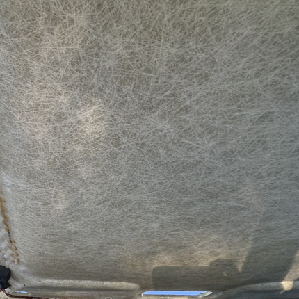 05-09 Ford Mustang Black Interior Upper Headliner OEM In Good Shape