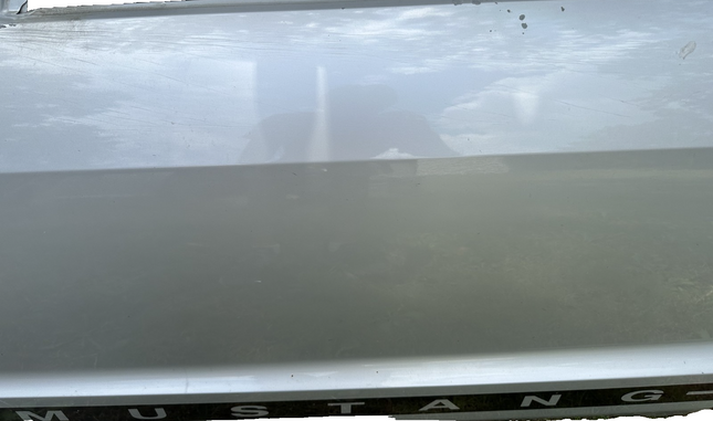 05-09 Ford Mustang Coupe Door Shell Silver Paint Code TL W/ Stripe OEM LH Driver