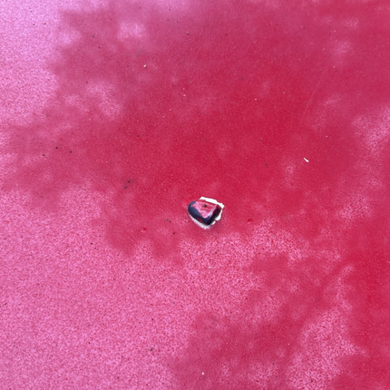 05-09 Ford Mustang Bright Red Hood Front W/ Hood Liner OEM