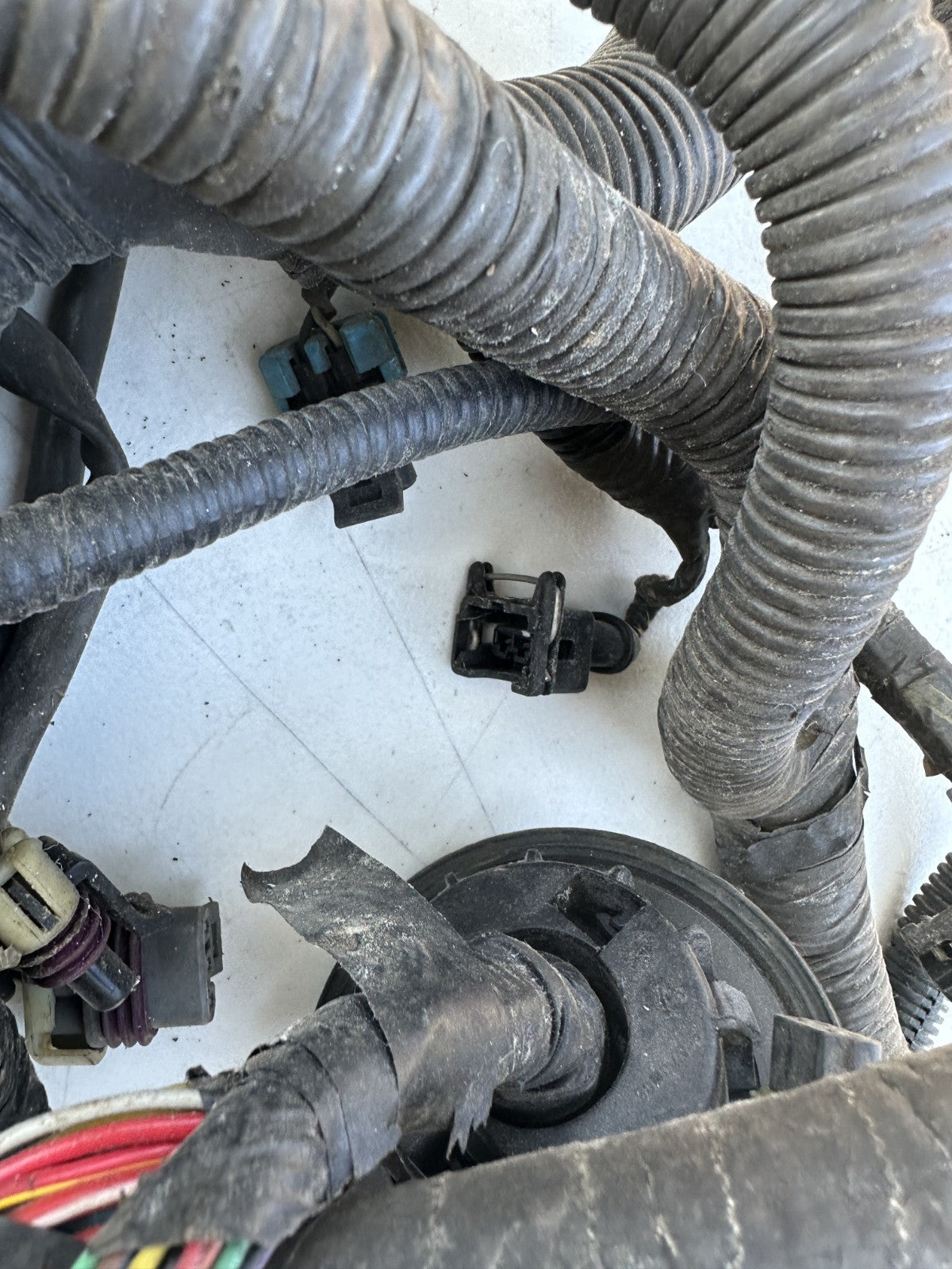 2004 Pontiac GTO 5.7L LS1 V8 Engine Wiring Harness OEM Automatic Transmission