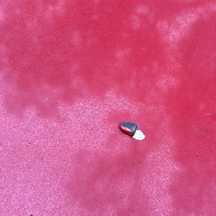 05-09 Ford Mustang Bright Red Hood Front W/ Hood Liner OEM