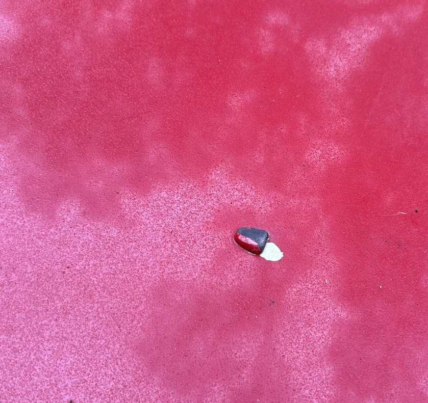 05-09 Ford Mustang Bright Red Hood Front W/ Hood Liner OEM