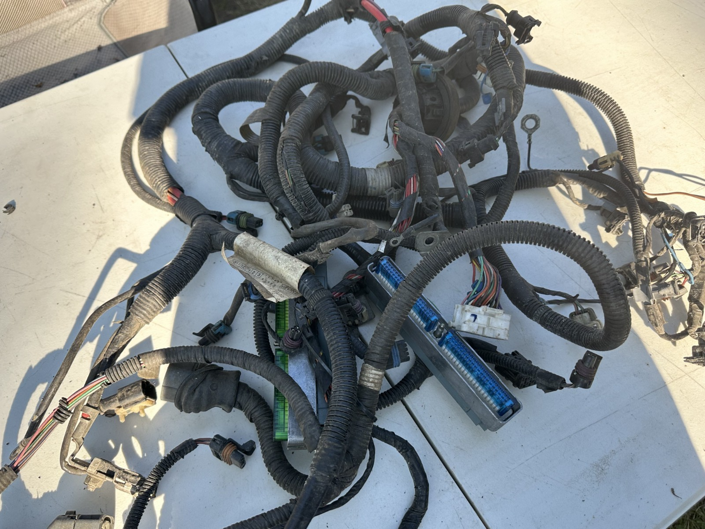 2004 Pontiac GTO 5.7L LS1 V8 Engine Wiring Harness OEM Automatic Transmission