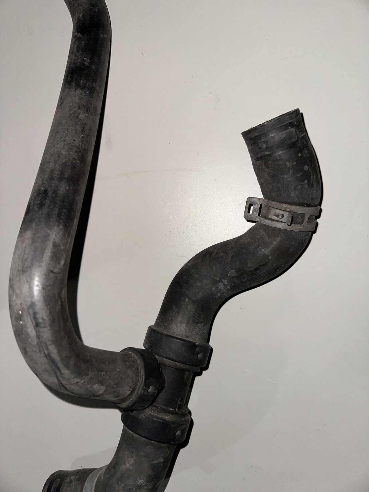 05-10 Ford Mustang 4.0L V6 Lower Radiator Hose OEM W/ Clamps