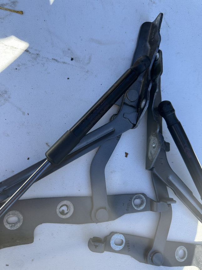 10-14 Ford Mustang Trunk Hatch Lid Hinges Struts Shocks Assembly OEM Pair LH RH