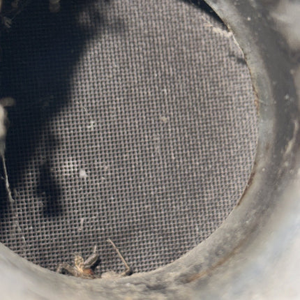 05-09 Ford Mustang V6 4.0L VIN N Single Exhaust Pipe OEM Catalytic Converters