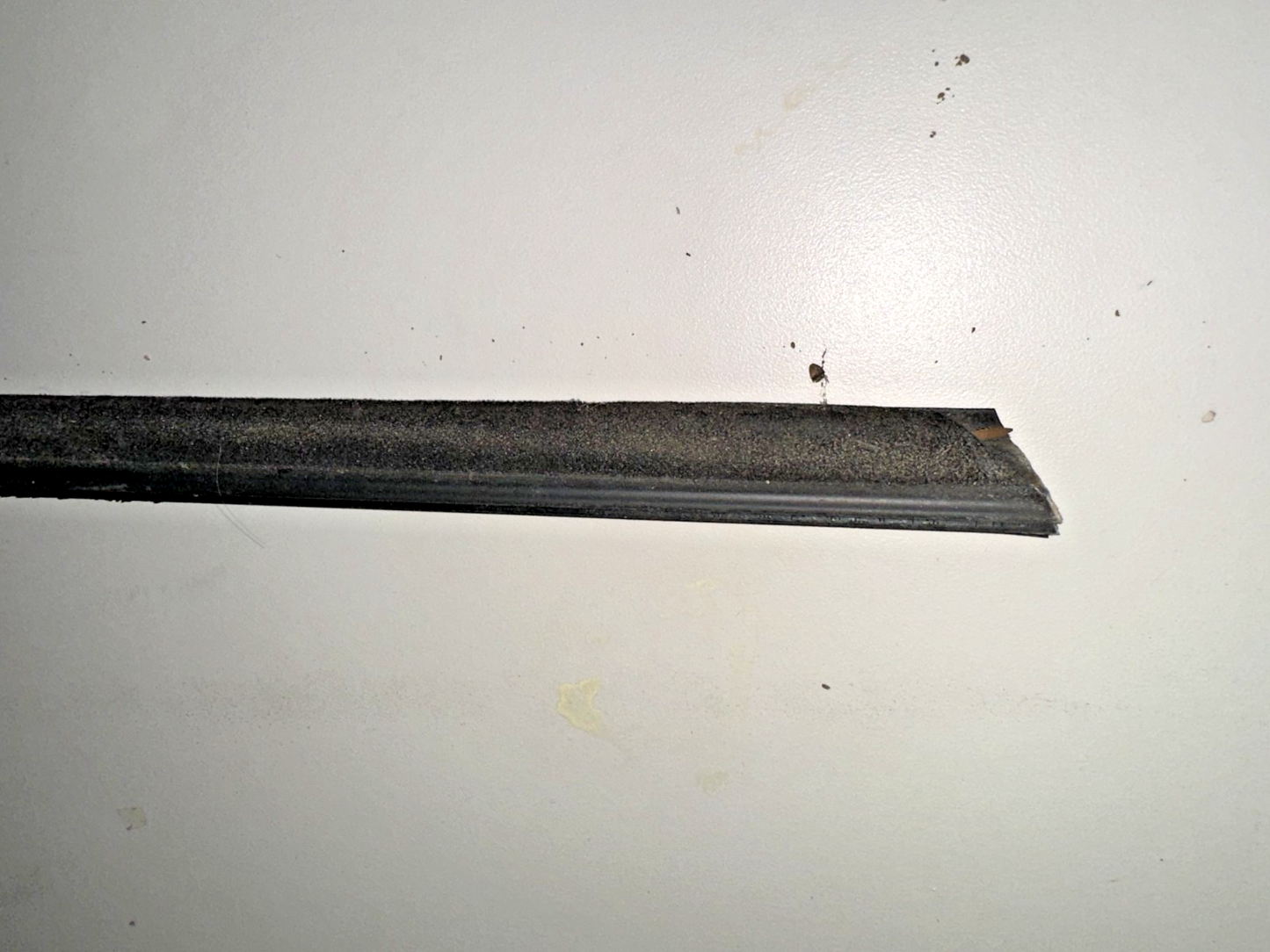 05-09 Ford Mustang Outer Door Belt Weather Strip LH Driver OEM