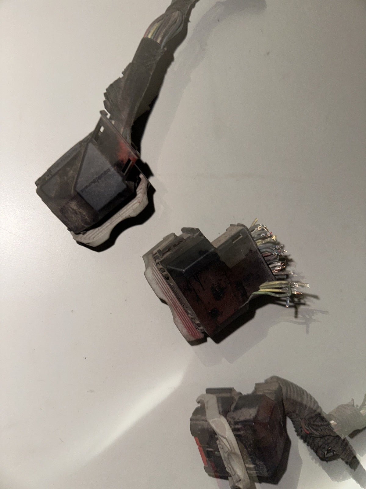 05-06 Ford Mustang ECU ECM PCM Connectors Computer Plug Ins OEM W/ Wires