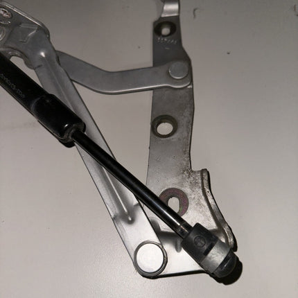 05-09 Ford Mustang Trunk Hatch Lid Hinges Struts Shocks Assembly OEM Pair LH RH