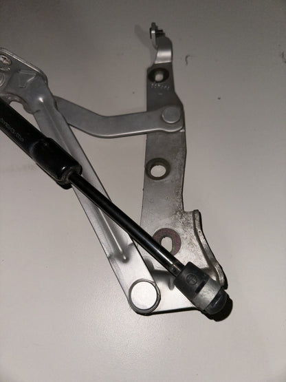 05-09 Ford Mustang Trunk Hatch Lid Hinges Struts Shocks Assembly OEM Pair LH RH