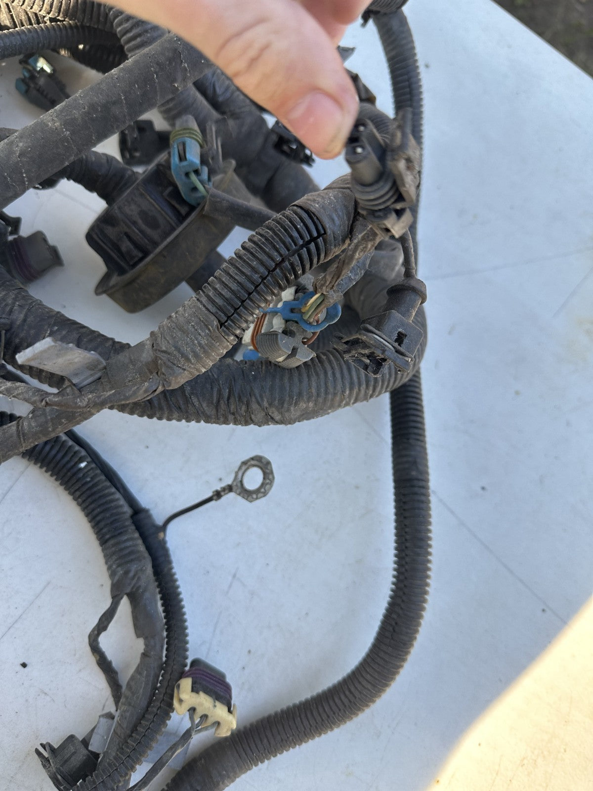 2004 Pontiac GTO 5.7L LS1 V8 Engine Wiring Harness OEM Automatic Transmission