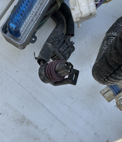 2004 Pontiac GTO 5.7L LS1 V8 Engine Wiring Harness OEM Automatic Transmission