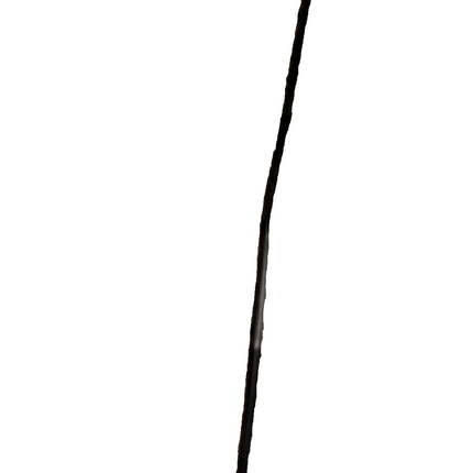 05-09 Ford Mustang Passenger Fender Antenna OEM Matte Black