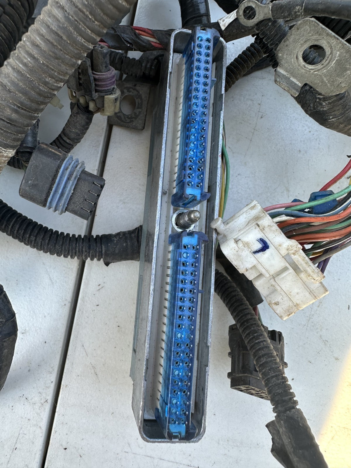 2004 Pontiac GTO 5.7L LS1 V8 Engine Wiring Harness OEM Automatic Transmission