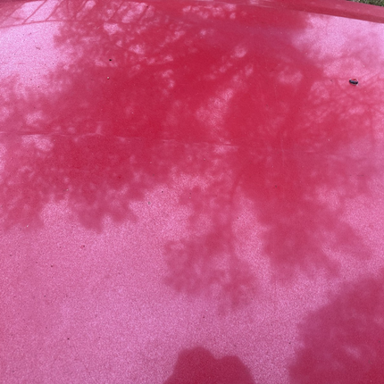 05-09 Ford Mustang Bright Red Hood Front W/ Hood Liner OEM