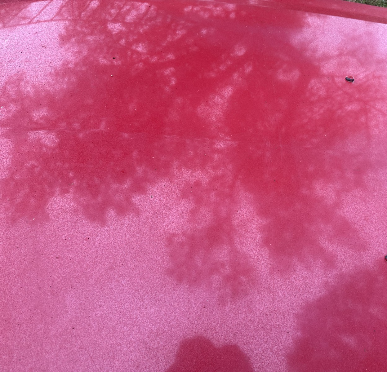 05-09 Ford Mustang Bright Red Hood Front W/ Hood Liner OEM