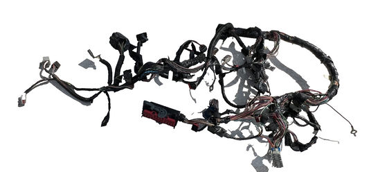 05-06 Ford Mustang Interior Wiring Harness OEM Passenger Side 4R3T-14401-G2818