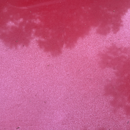 05-09 Ford Mustang Bright Red Hood Front W/ Hood Liner OEM