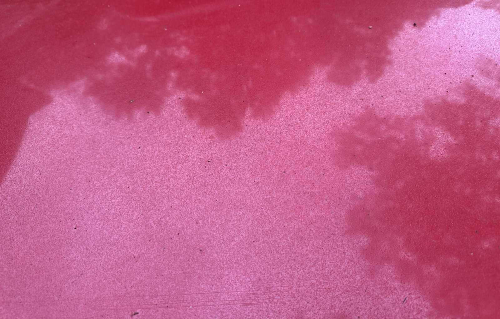 05-09 Ford Mustang Bright Red Hood Front W/ Hood Liner OEM