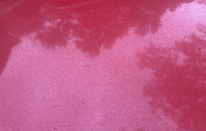 05-09 Ford Mustang Bright Red Hood Front W/ Hood Liner OEM