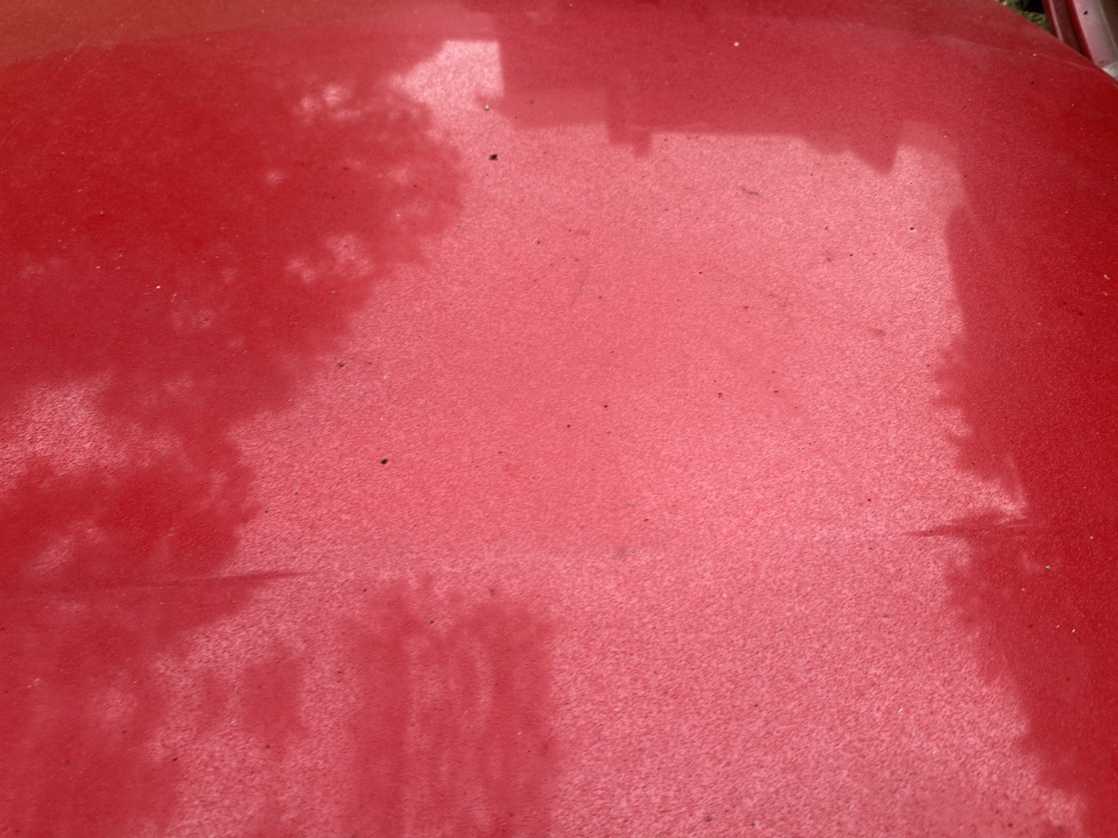 05-09 Ford Mustang Bright Red Hood Front W/ Hood Liner OEM