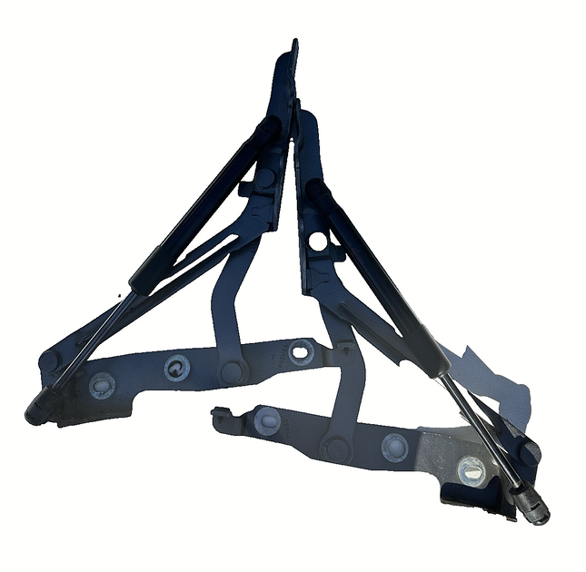 10-14 Ford Mustang Trunk Hatch Lid Hinges Struts Shocks Assembly OEM Pair LH RH