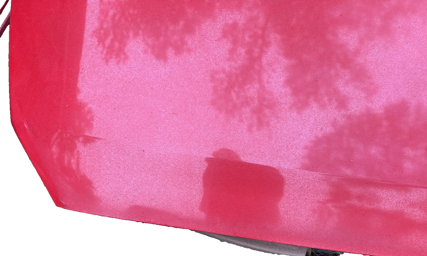 05-09 Ford Mustang Bright Red Hood Front W/ Hood Liner OEM