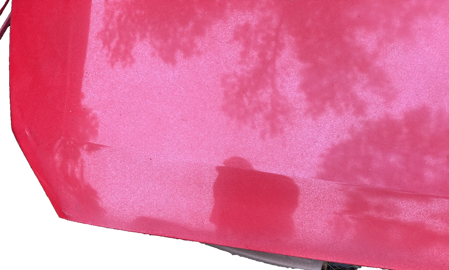 05-09 Ford Mustang Bright Red Hood Front W/ Hood Liner OEM